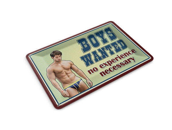 Blechpostkarte Pinup 14x10 cm Boys wanted no experience Metall Deko Schild