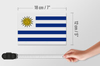 Holzschild Flagge Uruguays 18x12 cm Flag of Uruguay Dekoration