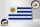 Holzschild Flagge Uruguays 18x12 cm Flag of Uruguay Dekoration