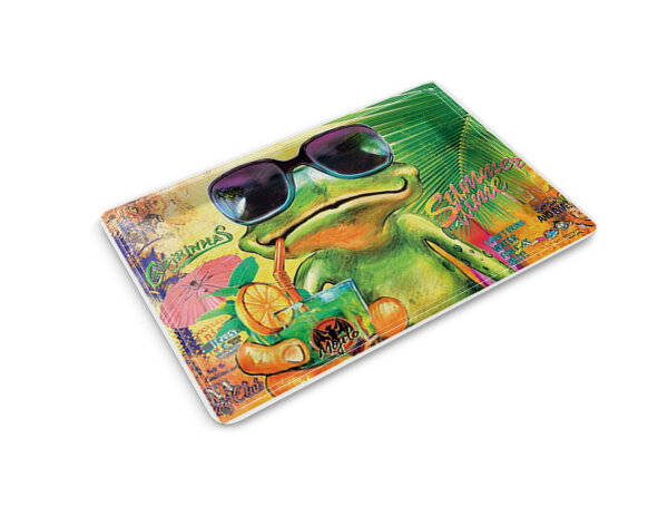 Blechpostkarte Frosch 14x10 cm Cocktail Mojito Summer Strand Deko Schild