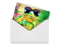Blechpostkarte Frosch 14x10 cm Cocktail Mojito Summer Strand Deko Schild