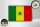 Holzschild Flagge Senegal 18x12 cm Retro Flag of Senegal Dekoration