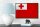 Holzschild Flagge Tongas 18x12 cm Retro Flag of Tonga Dekoration