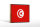 Holzschild Flagge Tunesiens 18x12 cm Retro Flag of Tunisia Dekoration