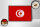 Holzschild Flagge Tunesiens 18x12 cm Retro Flag of Tunisia Dekoration