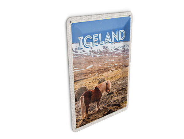 Blechpostkarte Reise 10x14 cm Island Pony Islandic horse