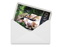 Blechpostkarte Reise 10x14 cm Thailand Tropen Natur Frau Religion Schild