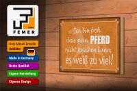 Holzschild Spruch 18x12cm bin froh mein Pferd nicht spricht Dekorationschild