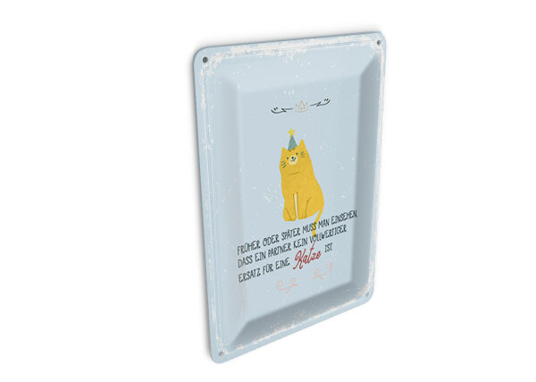 Blechpostkarte Spruch kein Ersatz für eine Katze 10x14 cm Deko Schild