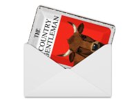 Blechpostkarte Spruch 10x14 cm The country Gentleman Rind Deko Schild