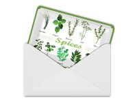 Blechpostkarte Essen 10x14 cm Gewürze Kräuter Abbildungen Deko Schild