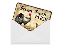 Blechpostkarte Reklame 10x14 cm Farm Fresh Eggs Hühner Deko Schild