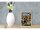 Holzschild Reise 12x18 cm Alcatraz San Francisco Meer Urlaub