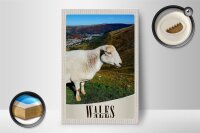 Holzschild Reise 12x18 cm Wales United Kingdom Schaf Wiese Natur