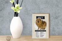 Holzschild Spruch 12x18 cm Spitz Eigentumsrechte Geschenk Dekoration