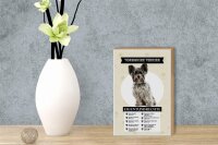 Holzschild Spruch 12x18 cm Yorkshire Terrier Eigentumsrechte