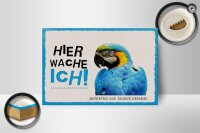 Holzschild Spruch 18x12 cm Papagei hier wache ich eigene Gefahr