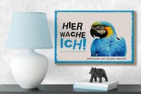 Holzschild Spruch 18x12 cm Papagei hier wache ich eigene Gefahr