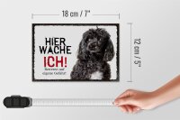 Holzschild Spruch 18x12 cm Pudel hier wache ich eigene Gefahr