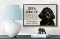Holzschild Spruch 18x12 cm Pudel hier wache eigene Gefahr Dekoration
