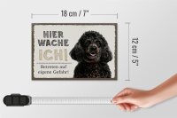 Holzschild Spruch 18x12 cm Pudel hier wache eigene Gefahr Dekoration