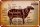 Blechschild Lamm 18x12cm Lamb cuts Organic Metzgerei