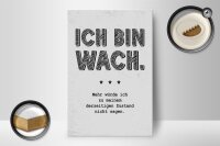 Holzschild Spruch lustig Zustand Ich bin wach 12x18 cm Dekoration