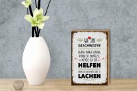 Holzschild Spruch Geschwister wir lachen helfen Dekoration 12x18 cm