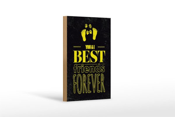 Holzschild Spruch Freunde You I best friends forever 12x18 cm