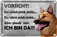 Blechschild Spruch 18x12cm Vorsicht Hund Du siehst mich...
