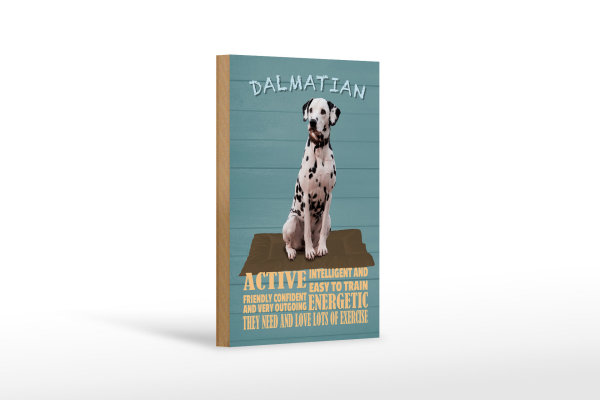 Holzschild Spruch 12x18cm Dalmatian Hund active and easy