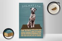 Holzschild Spruch 12x18cm Dalmatian Hund active and easy