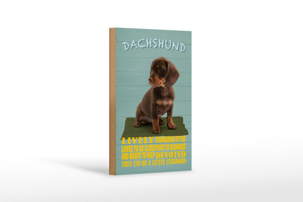 Holzschild Spruch 12x18cm Dachshund Hund lively devoted