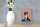 Holzschild Spruch 12x18cm Border Collie Hund protective