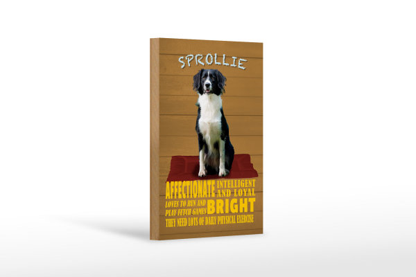 Holzschild Spruch 12x18cm Sprollie Hund intelligent loyal