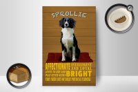 Holzschild Spruch 12x18cm Sprollie Hund intelligent loyal