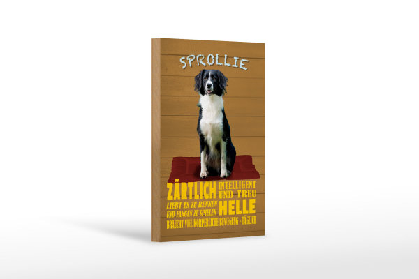 Holzschild Spruch 12x18cm Sprollie Hund zärtlich und treu