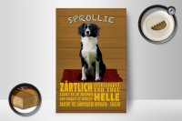 Holzschild Spruch 12x18cm Sprollie Hund zärtlich und treu