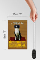 Holzschild Spruch 12x18cm Sprollie Hund zärtlich und treu