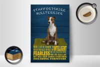 Holzschild Spruch 12x18cm Staffordshire Bullterrier Hund
