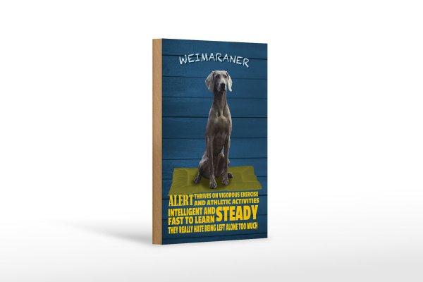 Holzschild Spruch 12x18cm Weimaraner Hund alert and steady