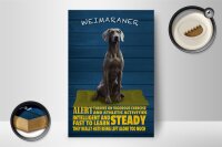 Holzschild Spruch 12x18cm Weimaraner Hund alert and steady