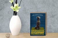 Holzschild Spruch 12x18cm Weimaraner Hund alert and steady