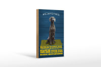 Holzschild Spruch 12x18cm Weimaraner Hund wachsam schnell
