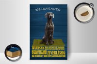 Holzschild Spruch 12x18cm Weimaraner Hund wachsam schnell