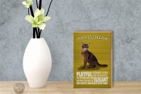 Holzschild Spruch 12x18cm Abyssinian Katze playful elegant
