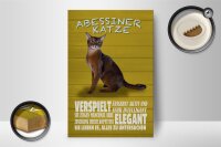 Holzschild Spruch 12x18cm Abyssiner Katze verspielt