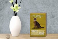 Holzschild Spruch 12x18cm Abyssiner Katze verspielt