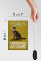 Holzschild Spruch 12x18cm Abyssiner Katze verspielt