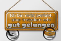 Blechschild Spruch 27x10cm bin nicht perfekt gut gelungen Dekoration
